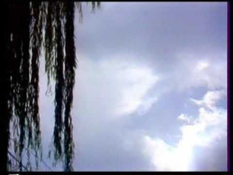 Одина Ҳошимов. Лаззати дидор.