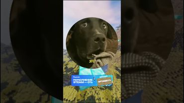 Он что-то знает 😂 #мем #прикол #юмор #смех #смешно #шортс