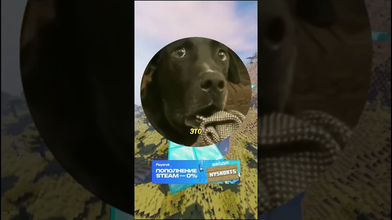 Он что-то знает 😂 #мем #прикол #юмор #смех #смешно #шортс