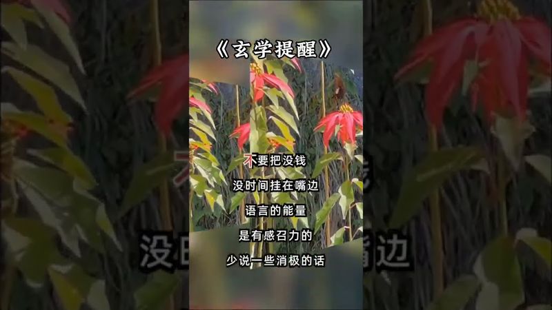 《玄学禁忌》老祖宗的智慧，听劝！接了！转发！功德无量！记得订阅！#正能量 #风水玄学 #玄学 #风水知识 #国学文化 #道家文化 #民间文化 #人生感悟 #转运 #禁忌 #避忌