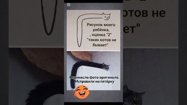 Кот 1в1😆#shorts #cat #юмор