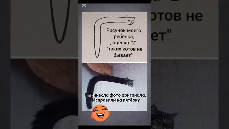 Кот 1в1😆#shorts #cat #юмор