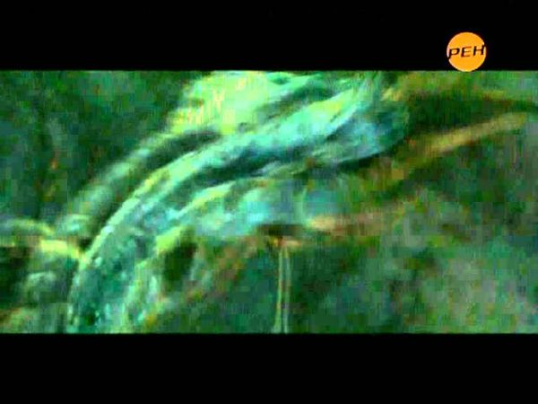 РЕН ТВ-20110718-161153.mpg