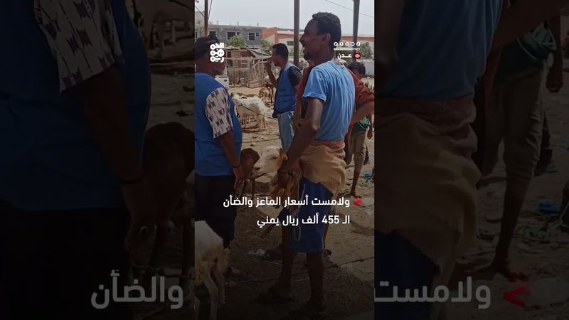 ارتفاع أسعار الأضاحي.. يحاصر فرحة العيد