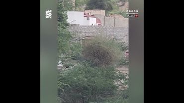 تعز.. مسلحون يعتدون على منشأة لبيع الغاز في صبر الموادم