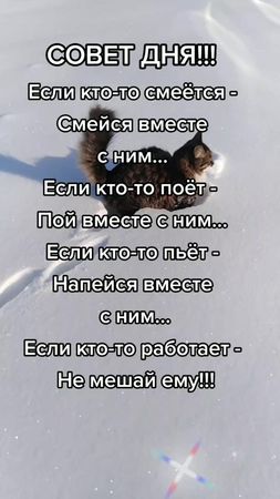 #советы #PUBGMOBILEchallenge #жиза #цитаты