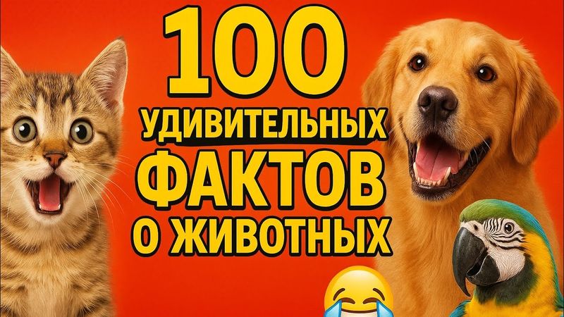 100 Фактов о Животных Которые Удивят Даже Ученых 😱