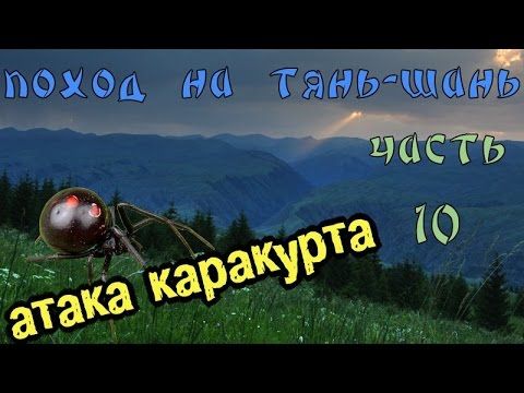 Поход на Тянь-Шань: Атака каракурта. Часть 10.