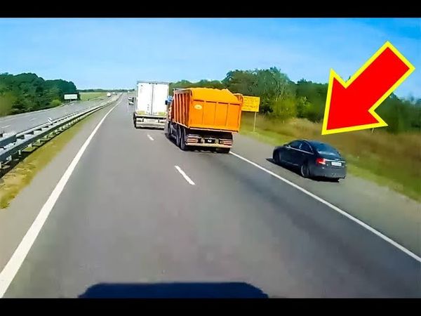 Топ подборка наглых обочечников 2