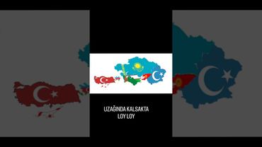 Bir ülkedir uzakta.. #doğutürkistan #doğutürkistandazulümvar #freeuyghurs  #uygurtürkleri