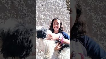 11 de agosto de 2025