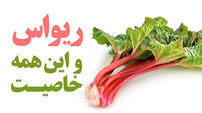 ریواس و دنیایی از خاصیت
