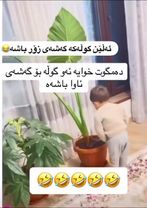 چاك ئاوي دا 💔😂 Acc 💔😂 #kurdistan #kirkuk #hawler #slimani #dhok