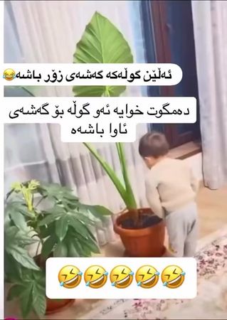 چاك ئاوي دا 💔😂 Acc 💔😂 #kurdistan #kirkuk #hawler #slimani #dhok