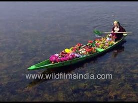 Kashmiri woman sells flowers off Dal Lake shikara boat in 1990's Kashmir, house boat Neil Armstrong