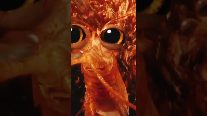 Один на криллион #shorts #рекомендации