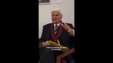 Katter weighs in on crocs after viral incident