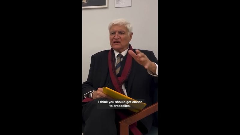 Katter weighs in on crocs after viral incident