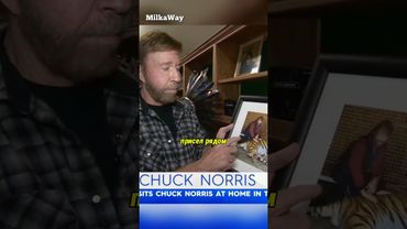 😀 Чак Норрис рассказал шутку про тигра
