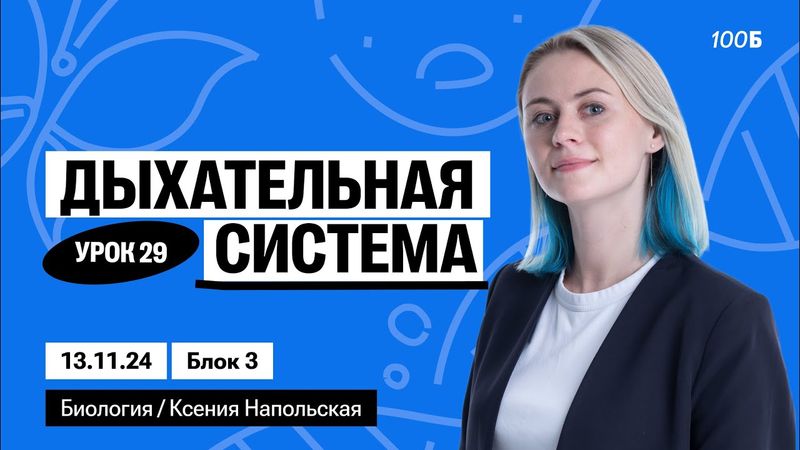 Дыхательная система | Биофак 2025 | Урок 29