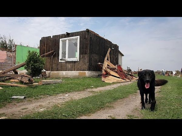 Several thousands in Poland's south cut off from electricity after severe storms