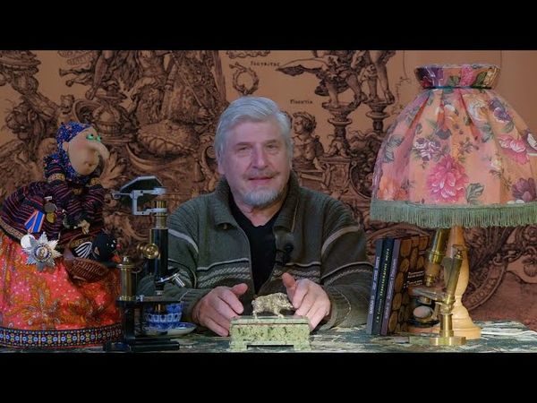 С.В. Савельев - Микроскопические забавы