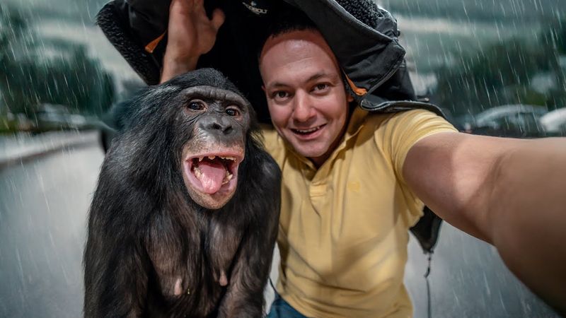 Каково Это Встретить Осень в Бишкеке? Готовимся к Переезду