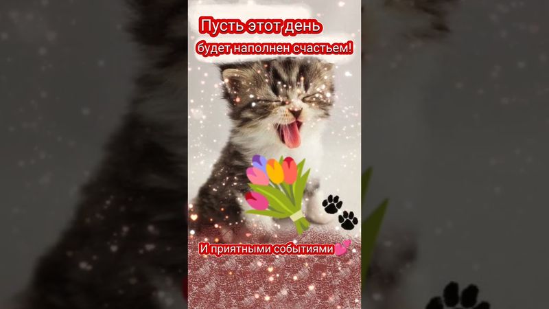 Доброе утро,хорошего дня открытки на каждый день #открытка #доброеутро #видеооткрытка #доброеутречко