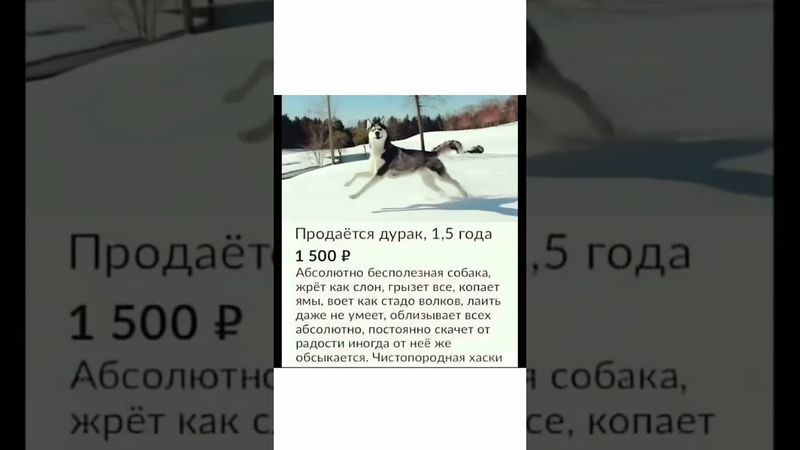 #угарныемемы #мысльдня #funny #юмор #жиза #приколы #прикол #анекдот #смехпродлеваетжизнь #анекдоты