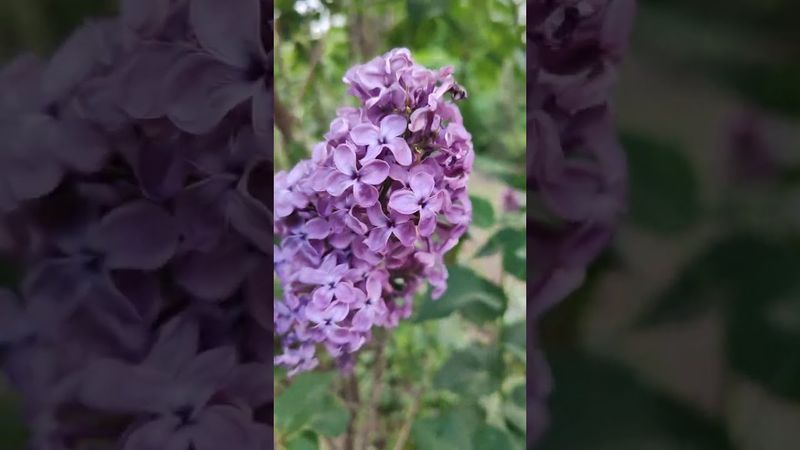 Сезон 2025 часть 1