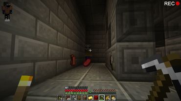 Продолжение выпуска Лика