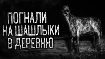 ПОГНАЛИ НА ШАШЛЫКИ В ДЕРЕВНЮ! (Совместно с WorldBegemotKot, Sinister и Гробовщик) Страшные истории.