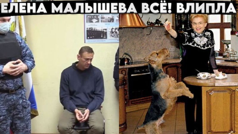 Елена Малышева влипла.  Показали ак она живет