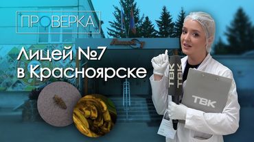 Лицей №7 в Красноярске / «Проверка» ТВК