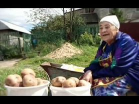 Среда обитания. Что хуже горькой редьки?