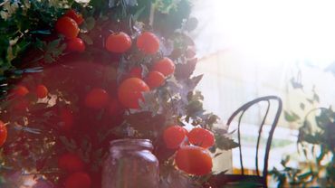 Прокачиваю Петуха 🐓 Лучшая Игра Года ARC Raiders