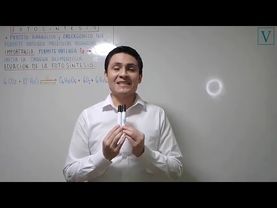 TEMA 11 - FOTOSÍNTESIS