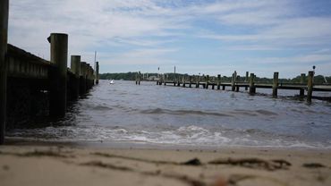 Oyster gardeners restore US population of water-cleaning mollusks | AFP