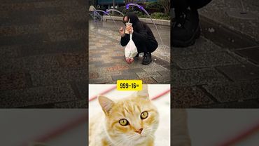 #treadingshorts​ #memes​ #trollface​ #fypシ゚viral​