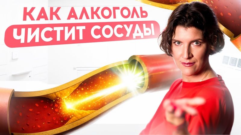 Как алкоголь чистит сосуды - вся правда