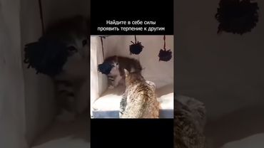 Приёмная мама с смогла💖🤲🏻