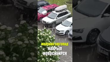 Майский снегопад накрыл НОВОСИБИРСК