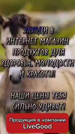 #бизнес  #бизнесидея