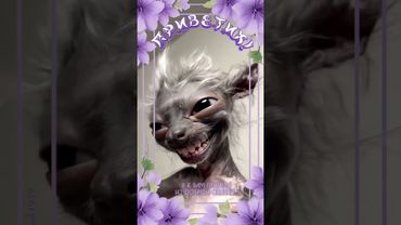 #lennok1959 #юмористическийконтент