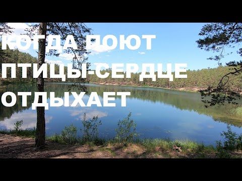 КРАСИВОЕ ПЕРЕЛИВЧАТОЕ ПЕНИЕ СЛАВКИ,ЕЙ ПОДПЕВАЕТ ХОР ЛЕСНЫХ ПТИЦ.КОГДА ПОЮТ ПТИЦЫ-СЕРДЦЕ РАДУЕТСЯ.