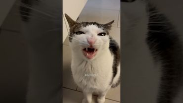 short crunch (and a hair)