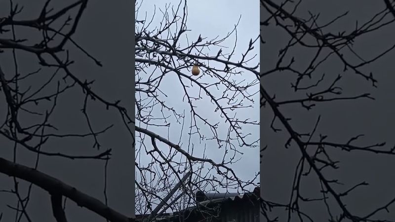 И ты держись