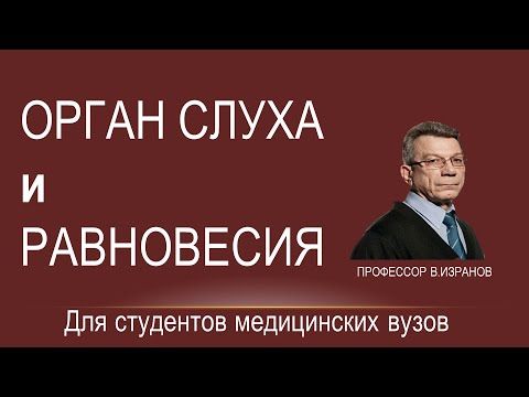 Орган слуха и равновесия.
