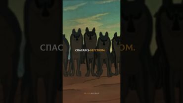 Лучше встретить судьбу с честью чем прожить жизнь в страхе и позоре. #motivation #discipline