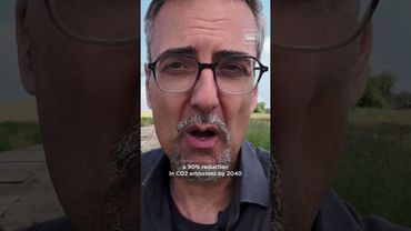 Renaturalisation of wetlands slows global warming and species decline | Teaser - EP44 | euronews 🇬🇧